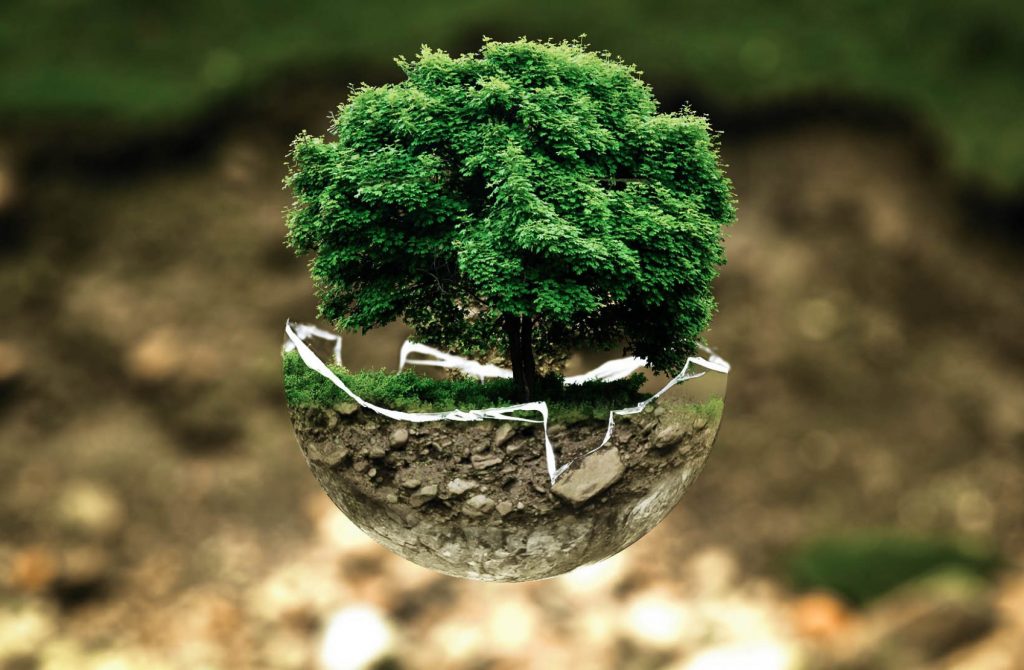 Environmental management and Social Impact Consulting services